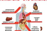 Влияние алкоголя на организм человека