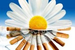 31 мая 2017 года - Всемирный день без табака