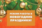 Об организации работы ГАУЗ СО «Ирбитская ЦГБ» в выходные и праздничные дни  с 30 декабря 2023 года по 08 января 2024 года 