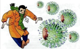 Острые респираторные вирусные инфекции